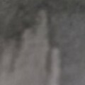 Profile picture of Steven