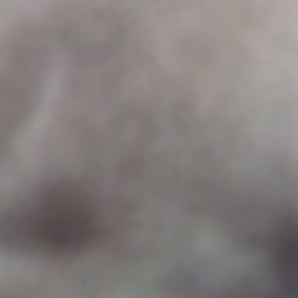 Profile picture of Greyed