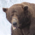 Profile picture of Leon61