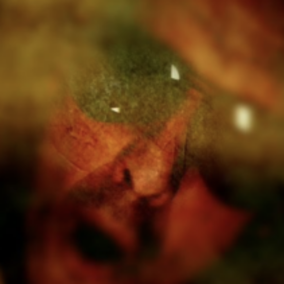 Profile picture of Wolfie