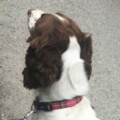 Profile picture of James83