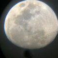 Profile picture of Witchy