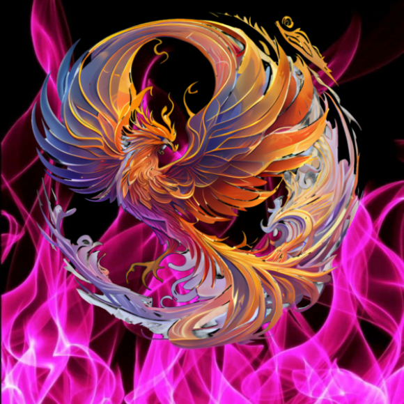 Profile picture of Phoenix Nights Events