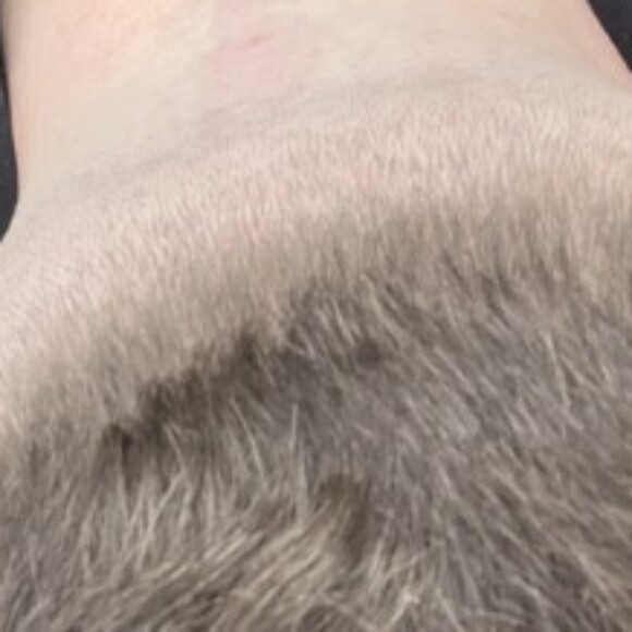 Profile picture of BigcockJ
