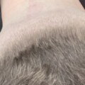 Profile picture of BigcockJ