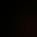 Profile picture of Saskia
