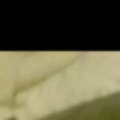 Profile picture of Pablo ratcliffe