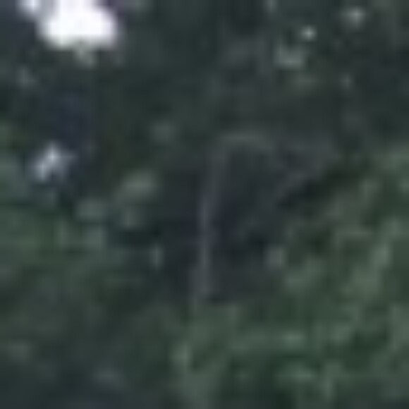 Profile picture of LVH