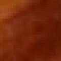 Profile picture of Sasperella