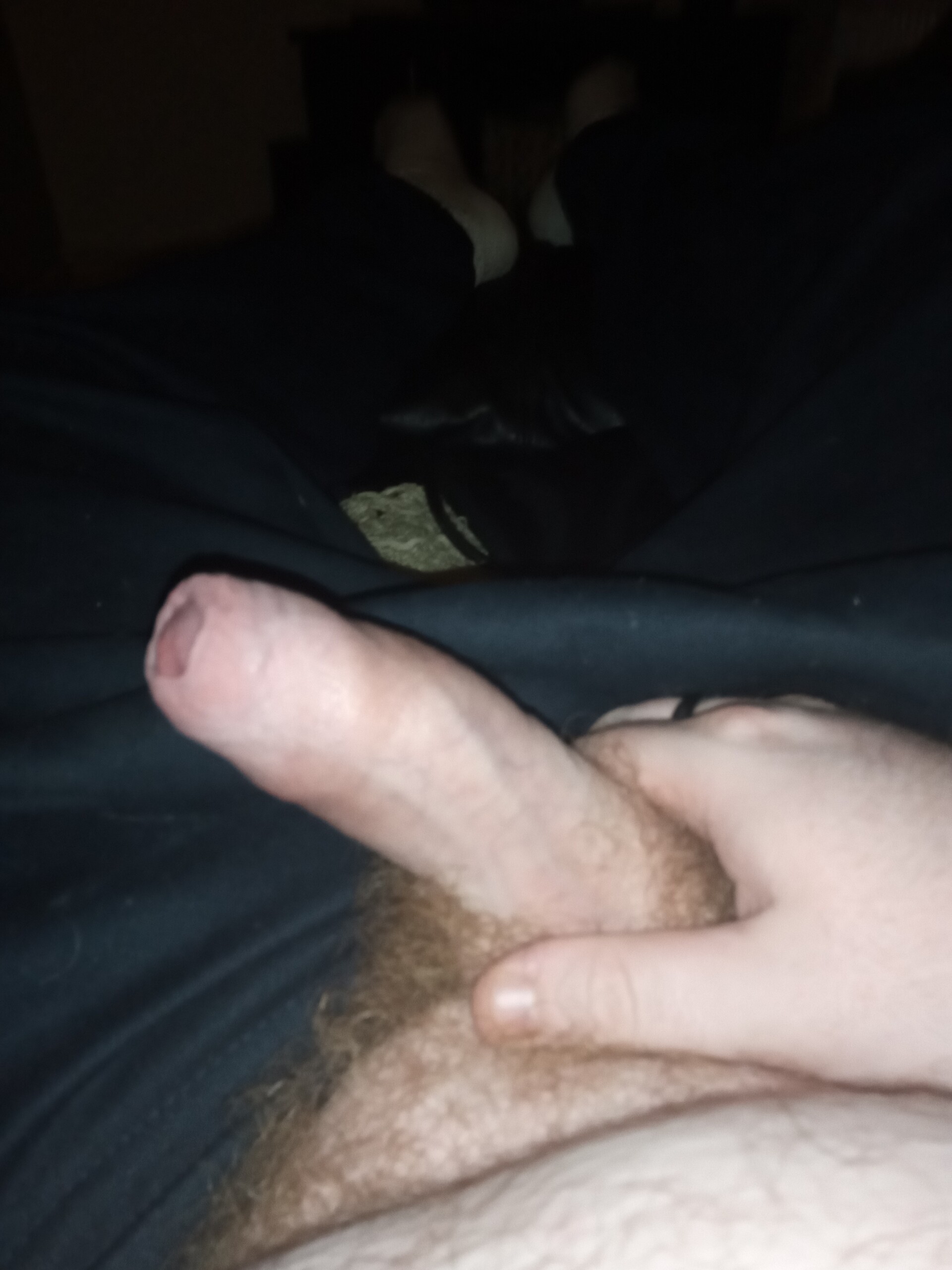 r31dm1lirdsmsbmtikfx4t7a0ms7o6