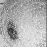 5F2D5643-66F8-4501-A0B7-E0469996E2DB