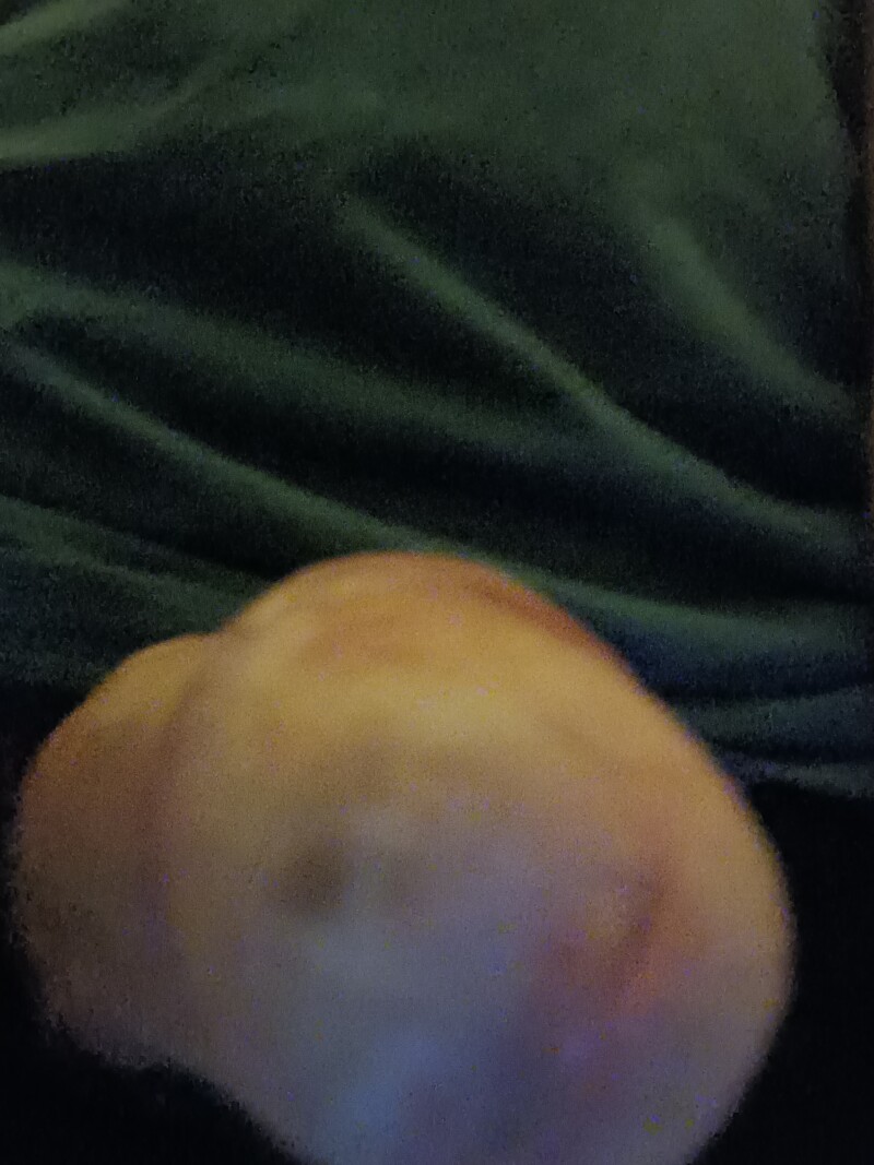 20230109_053016