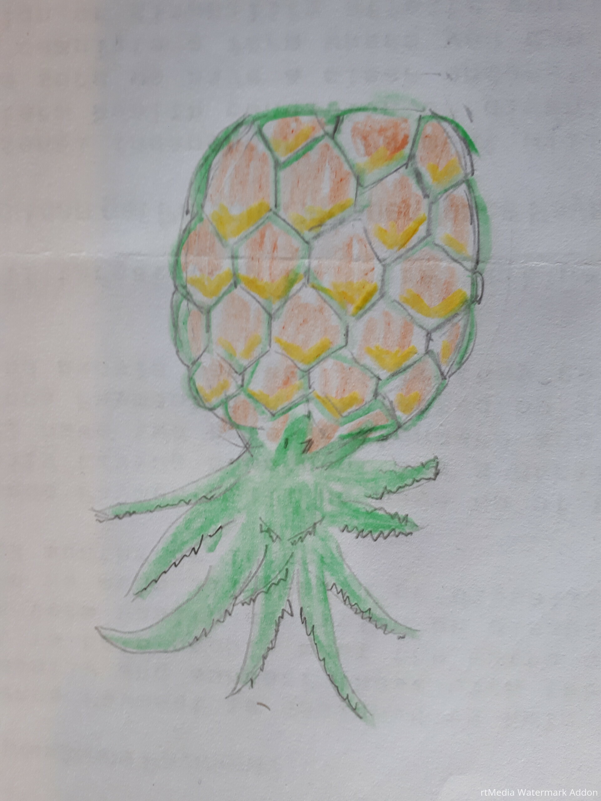 pineapple up